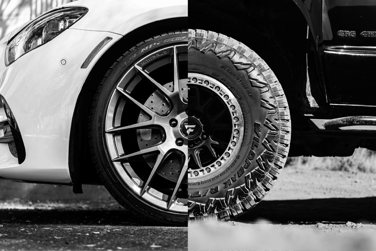 THE TWO SIDES OF FITTIPALDI WHEELS